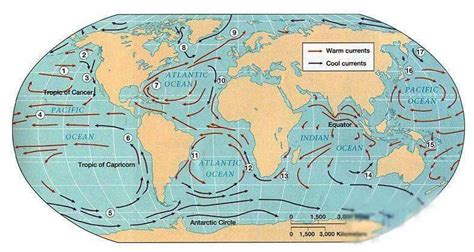 海洋水流方向